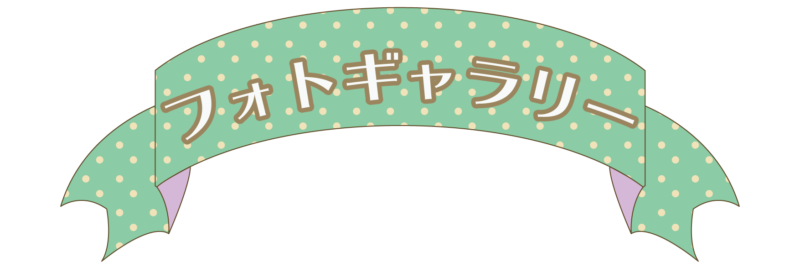 フォトギャラリー