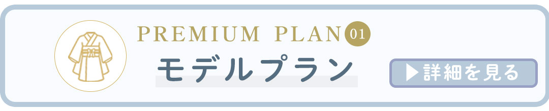 モデルプラン