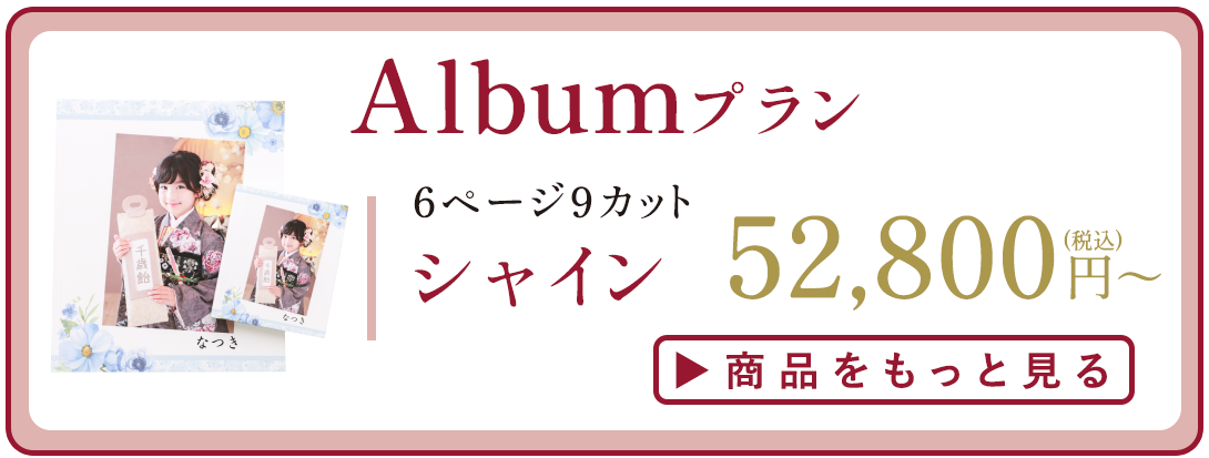 Albumプラン。多彩なデザインとページカット。シャイン 52,800円から。