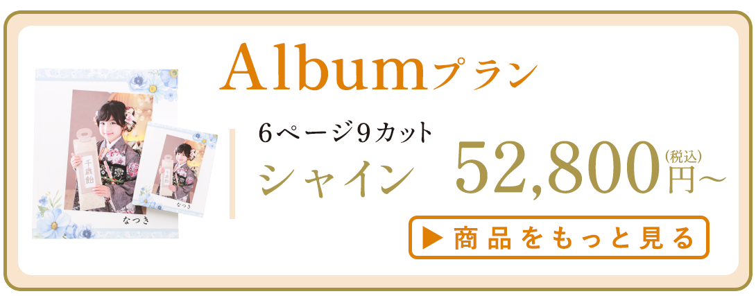 Albumプラン。多彩なデザインとページカット。シャイン 52,800円から。