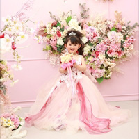 No.a018 夢はprincess♡