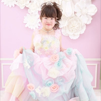 No.b067 プリンセス