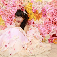 No.c014 Princess☆ABU