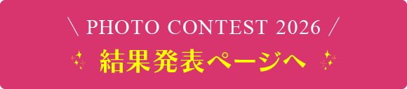 結果発表ページへ