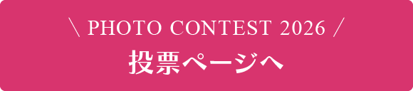 投票ページへ