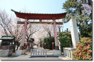 torii2014